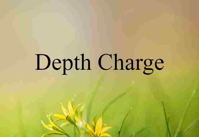 Depth Charge (noun) Definition, Meaning & Examples