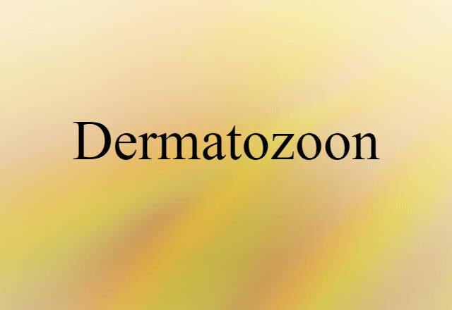 dermatozoon