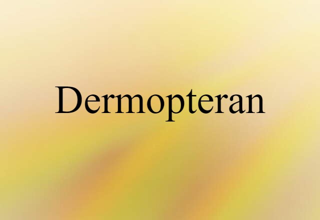 Dermopteran (noun) Definition, Meaning & Examples