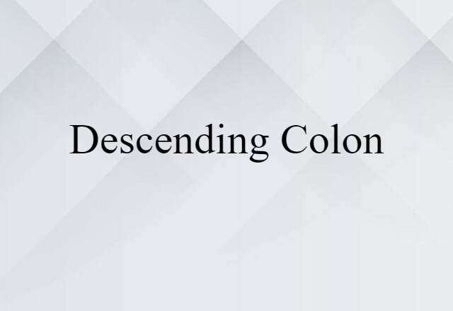 descending colon