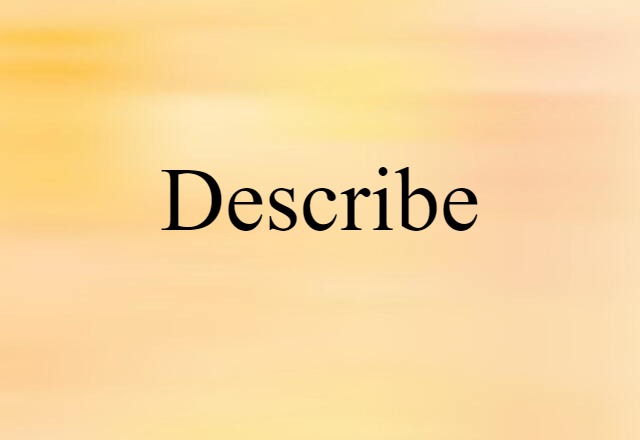 Describe (noun) Definition, Meaning & Examples