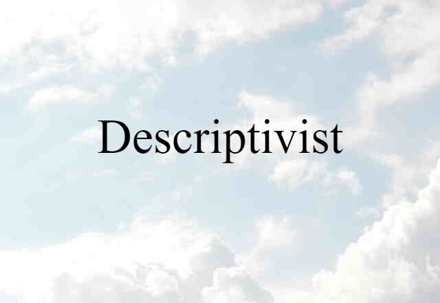 Descriptivist (noun) Definition, Meaning & Examples