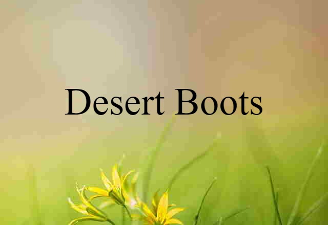 Desert Boots (noun) Definition, Meaning & Examples