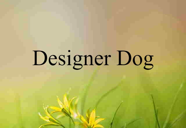 Designer Dog (noun) Definition, Meaning & Examples