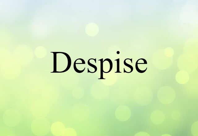 Despise (noun) Definition, Meaning & Examples