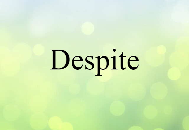 Despite (noun) Definition, Meaning & Examples