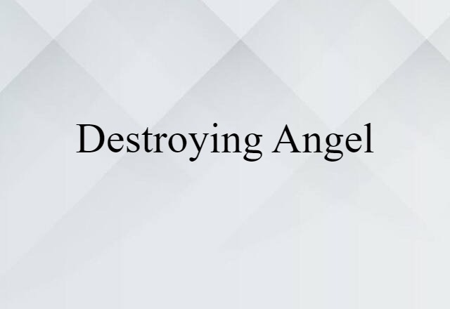 destroying angel