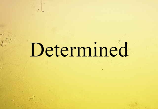 Determined (noun) Definition, Meaning & Examples