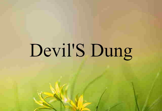 Devil's Dung (noun) Definition, Meaning & Examples