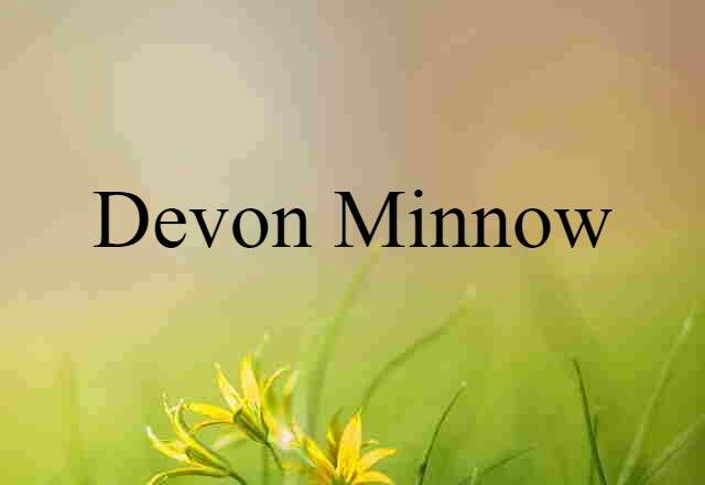 Devon minnow