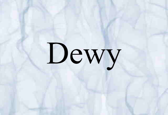 Dewy (noun) Definition, Meaning & Examples