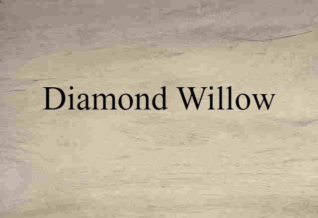 Diamond Willow (noun) Definition, Meaning & Examples