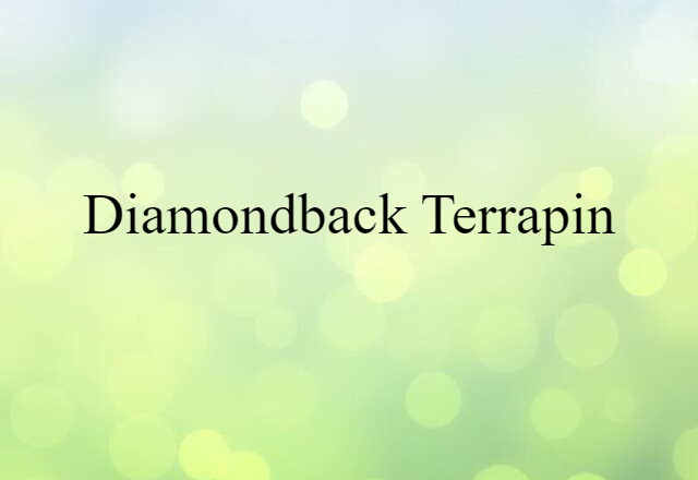 Diamondback Terrapin (noun) Definition, Meaning & Examples