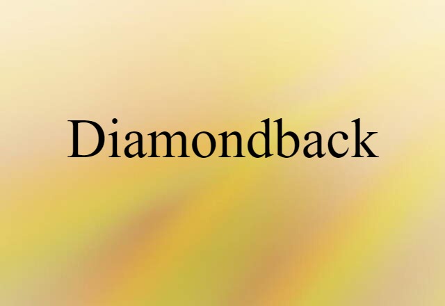 Diamondback (noun) Definition, Meaning & Examples