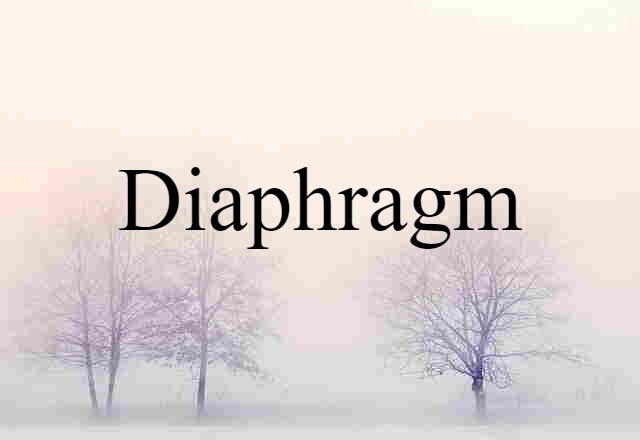 diaphragm