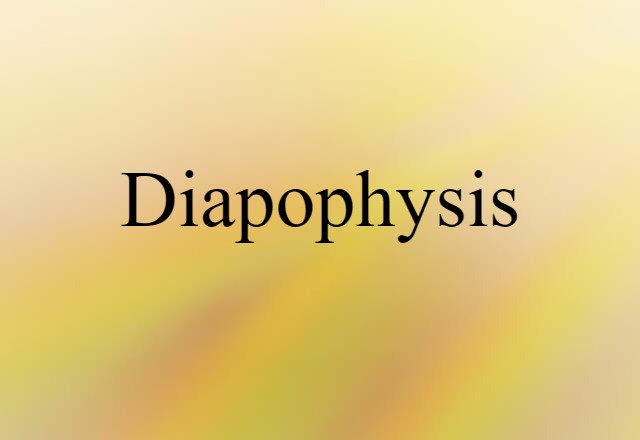 diapophysis