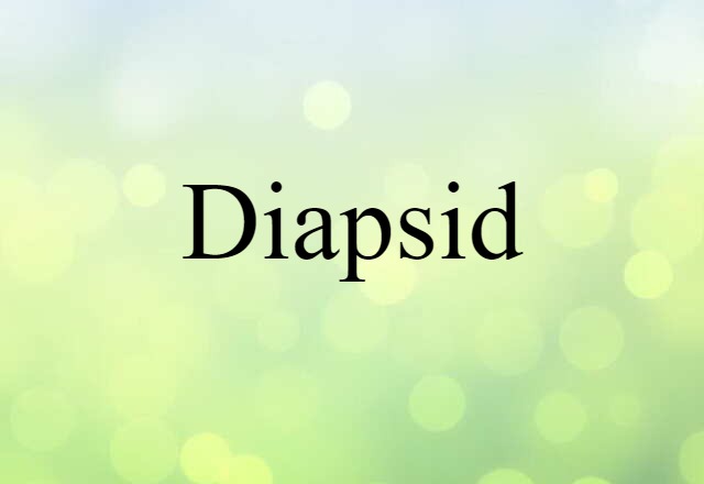 Diapsid (noun) Definition, Meaning & Examples