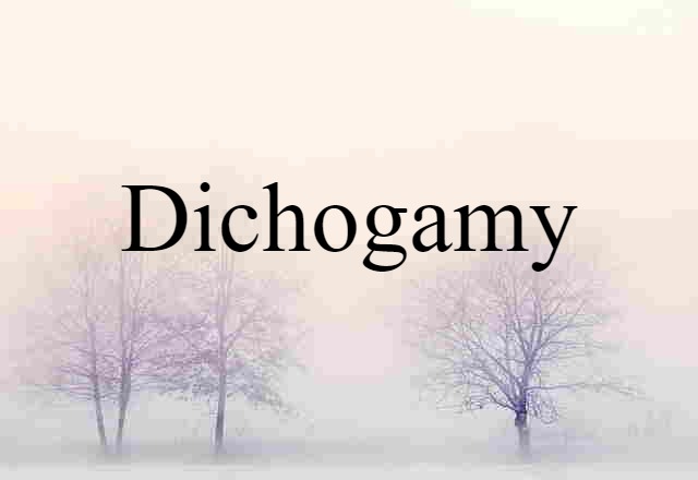 dichogamy