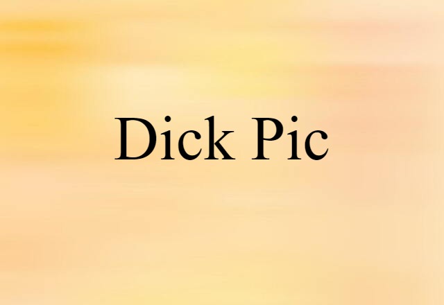 Dick Pic (noun) Definition, Meaning & Examples