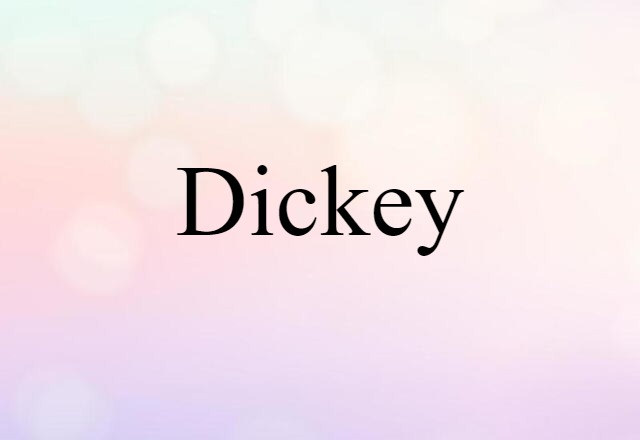 Dickey (noun) Definition, Meaning & Examples