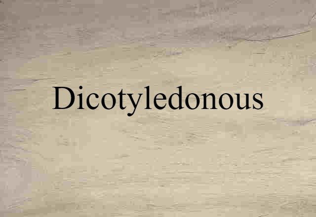 Dicotyledonous (noun) Definition, Meaning & Examples