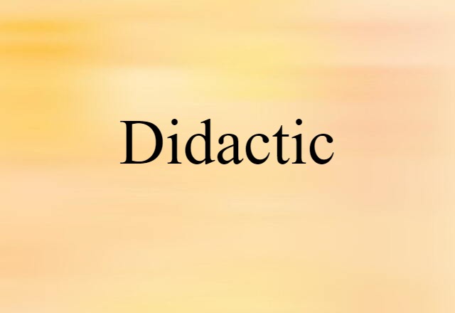 Didactic (noun) Definition, Meaning & Examples