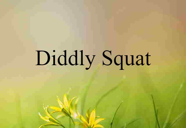 Diddly-squat (noun) Definition, Meaning & Examples