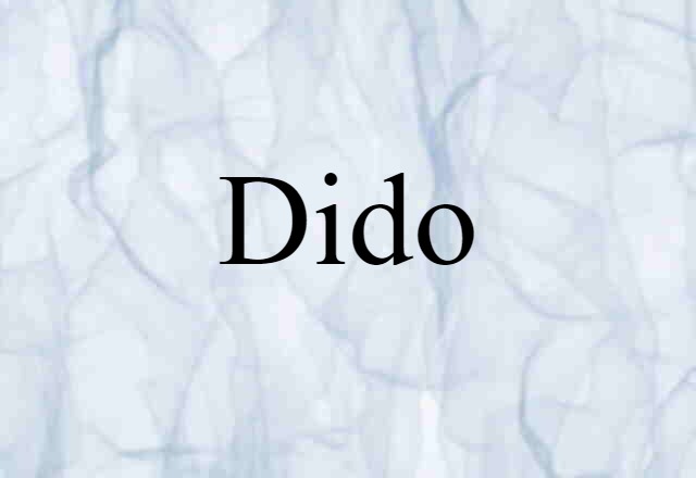 Dido (noun) Definition, Meaning & Examples