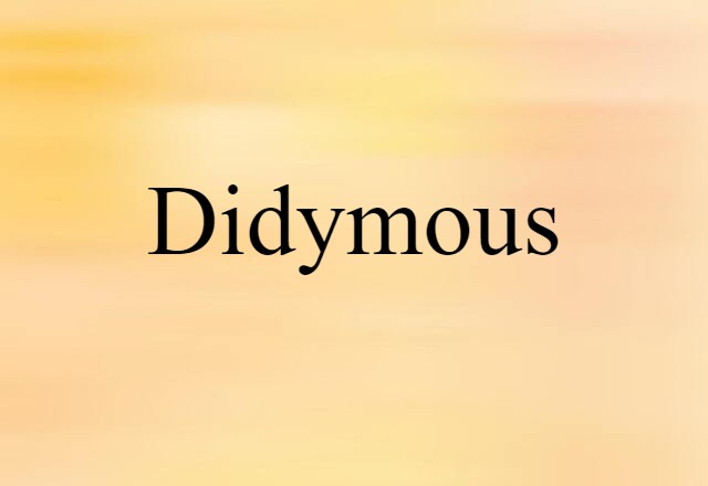 didymous