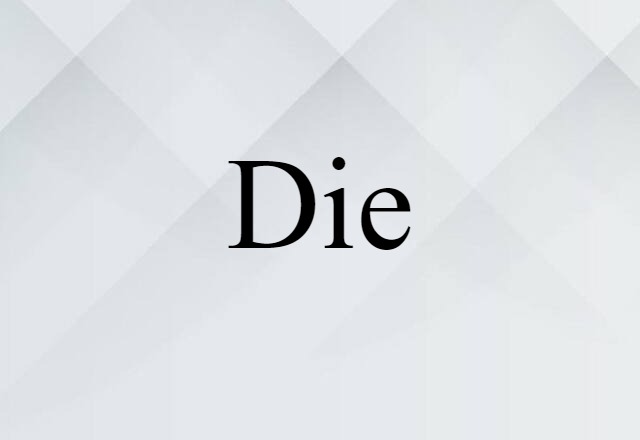 Die (noun) Definition, Meaning & Examples