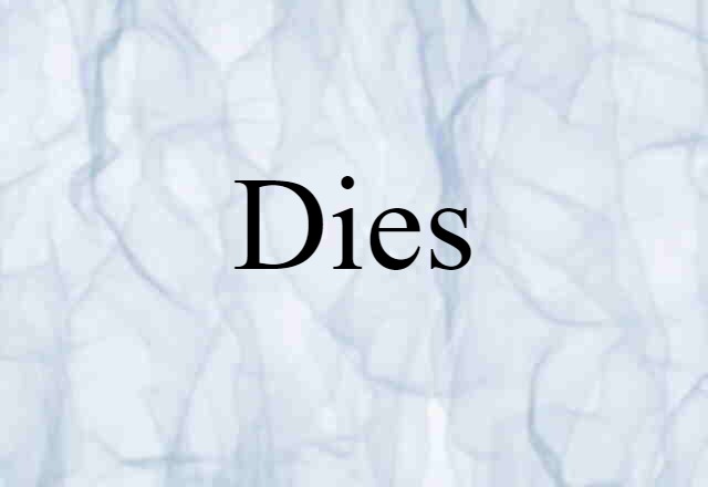 Dies (noun) Definition, Meaning & Examples