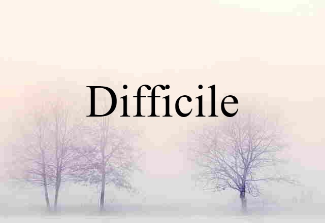 Difficile (noun) Definition, Meaning & Examples