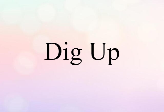 dig up