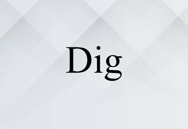 Dig (noun) Definition, Meaning & Examples