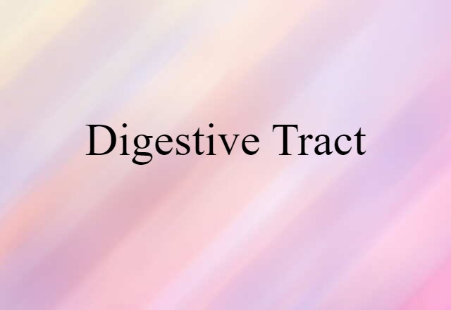 Digestive Tract (noun) Definition, Meaning & Examples