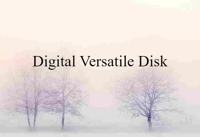 Digital Versatile Disk (noun) Definition, Meaning & Examples