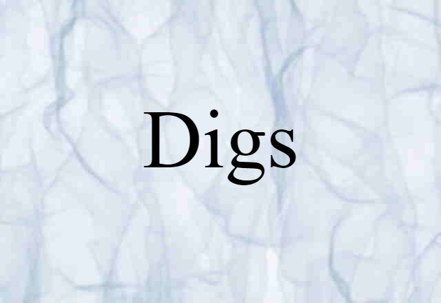 Digs (noun) Definition, Meaning & Examples