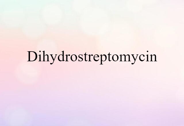 Dihydrostreptomycin (noun) Definition, Meaning & Examples