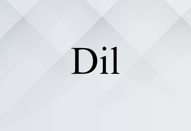 Dil (noun) Definition, Meaning & Examples