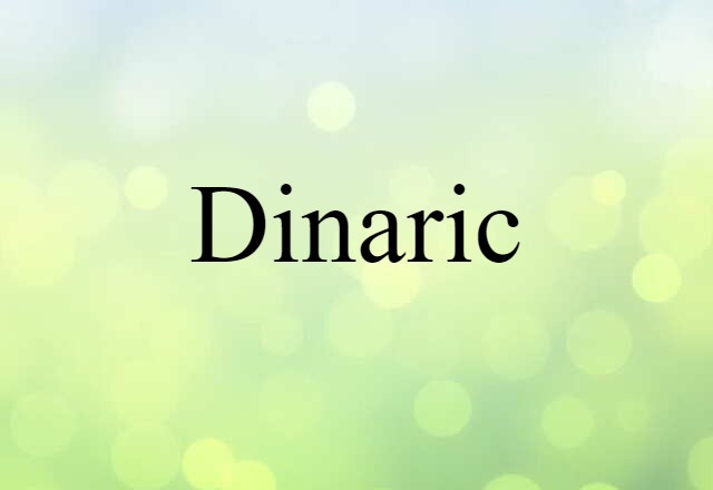 Dinaric (noun) Definition, Meaning & Examples