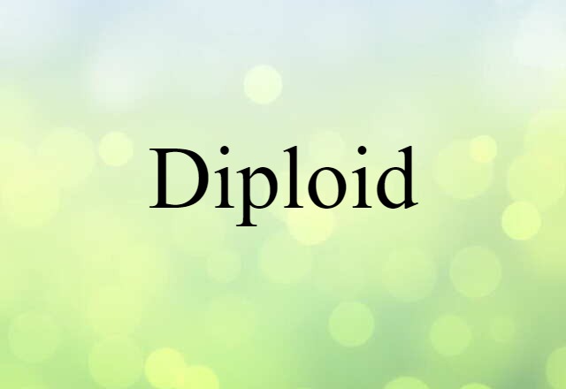 Diploid (noun) Definition, Meaning & Examples