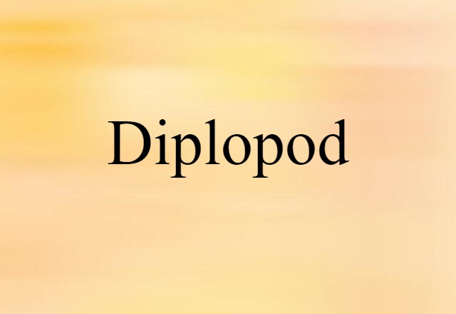 diplopod