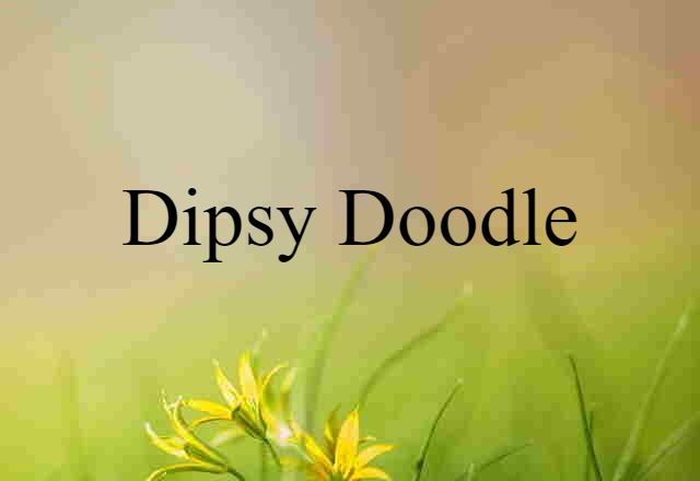 Dipsy-doodle (noun) Definition, Meaning & Examples