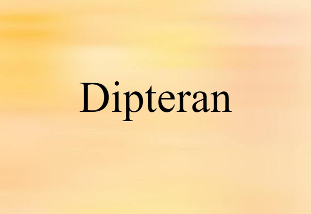 Dipteran (noun) Definition, Meaning & Examples