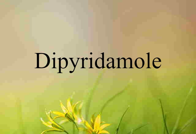 Dipyridamole (noun) Definition, Meaning & Examples