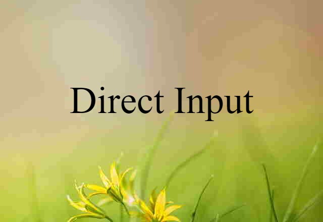 Direct Input (noun) Definition, Meaning & Examples