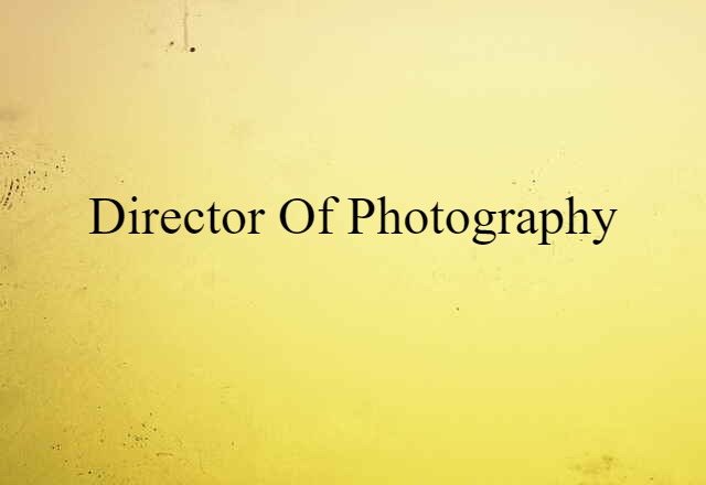 Director Of Photography (noun) Definition, Meaning & Examples