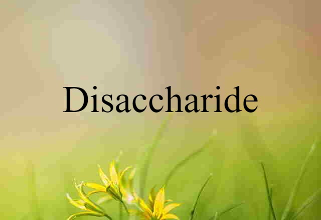 disaccharide