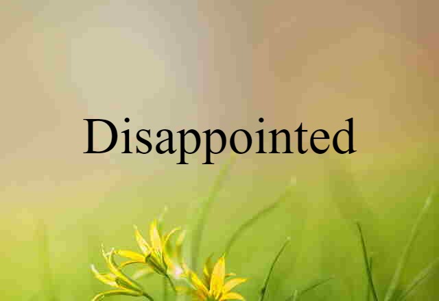 Disappointed (noun) Definition, Meaning & Examples