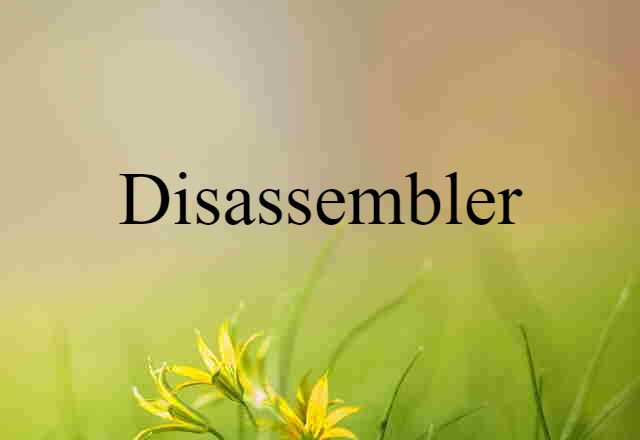 disassembler